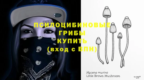 MESCALINE Ельня
