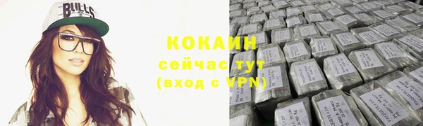 амф Гусиноозёрск