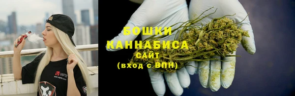амф Гусиноозёрск