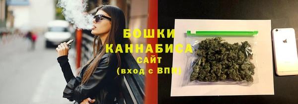 твердый Дмитров