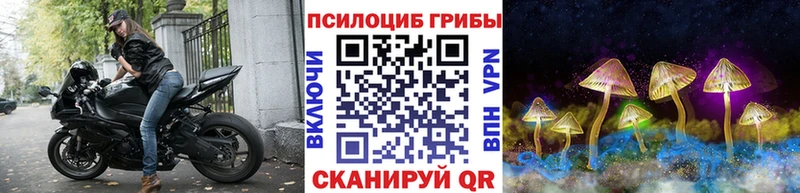 наркотики  Княгинино  KRAKEN ССЫЛКА  Галлюциногенные грибы Psilocybine cubensis 